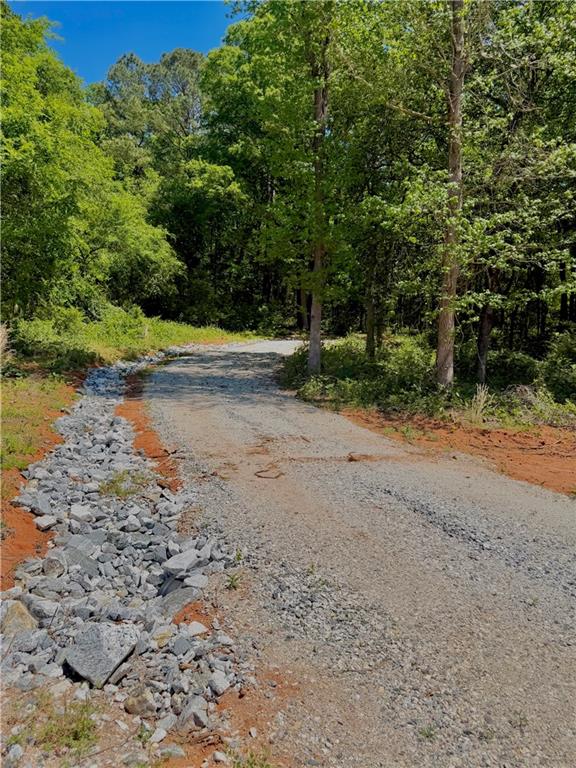 67 Franklin Way Royston, GA 30662 - Photo 8 of 16 a view of a road with a trees in the background