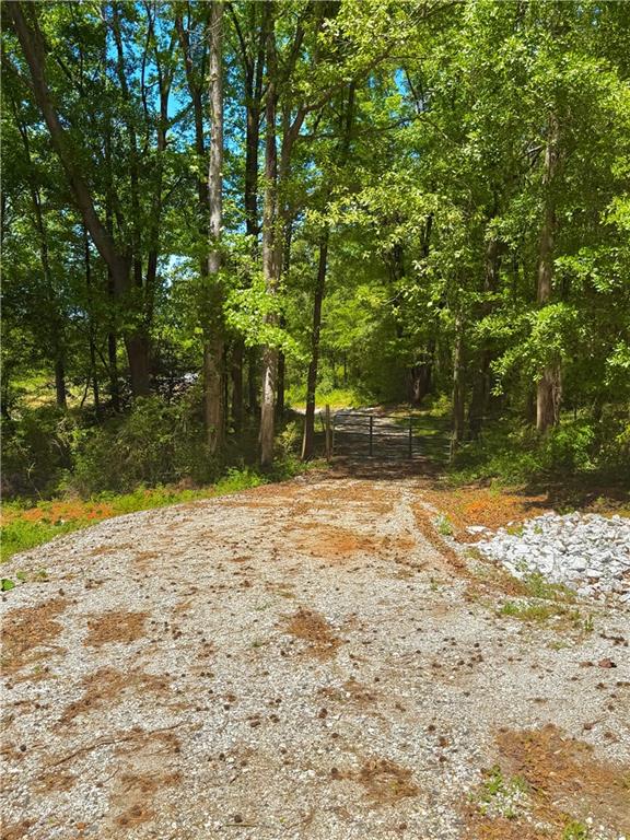 67 Franklin Way Royston, GA 30662 - Photo 9 of 16 a backyard of a house with a large trees