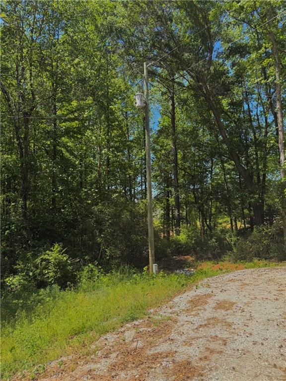67 Franklin Way Royston, GA 30662 - Photo 10 of 16 a view of a park with large trees