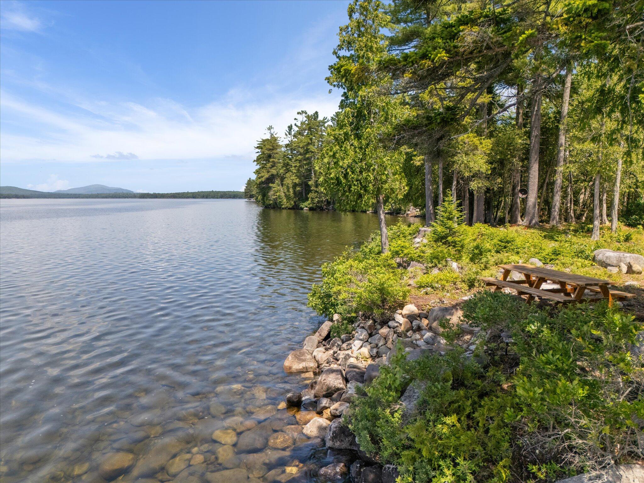 622 Railroad Bed Road Milo, ME 04463 - Photo 70 of 84 High & low bush blueberries...