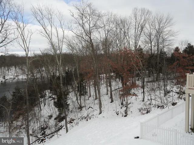a front view of a house with a garden and plants