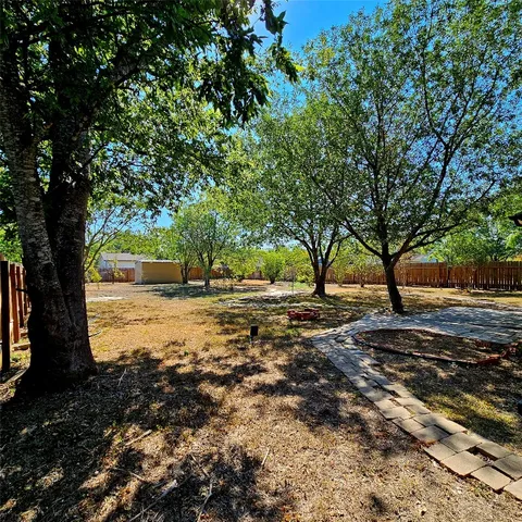 a view of dirt yard with a large tree