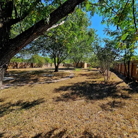 a view of yard with trees