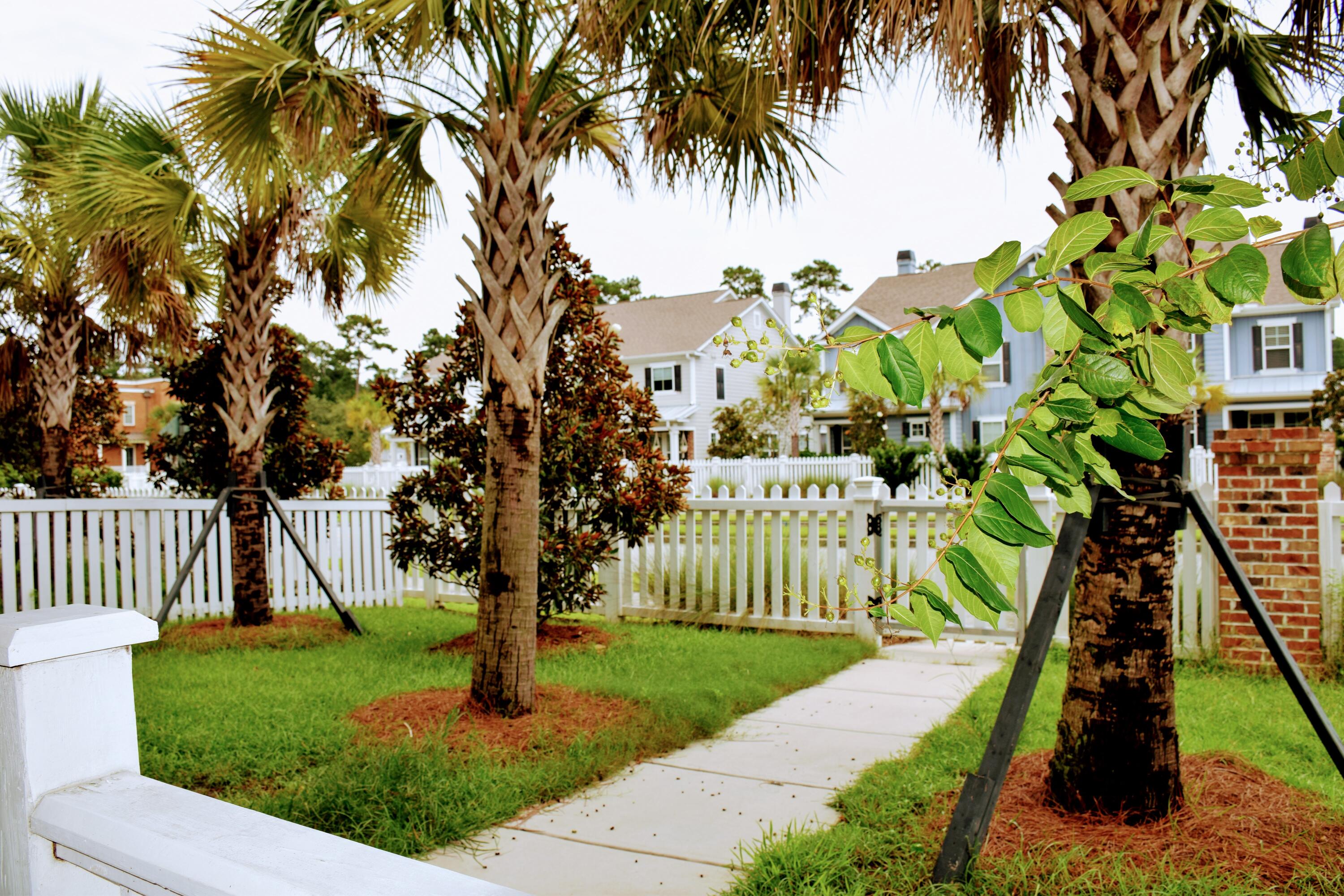1584 Grey Marsh Road Mount Pleasant, SC 29466 - Photo 23 of 27 palm trees add to the landscape