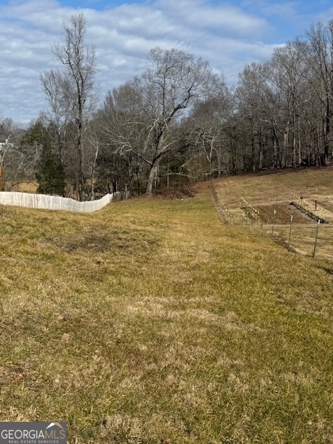 7-acres Wheeler Road Demorest, GA 30535 - Photo 18 of 18 a view of a yard with trees