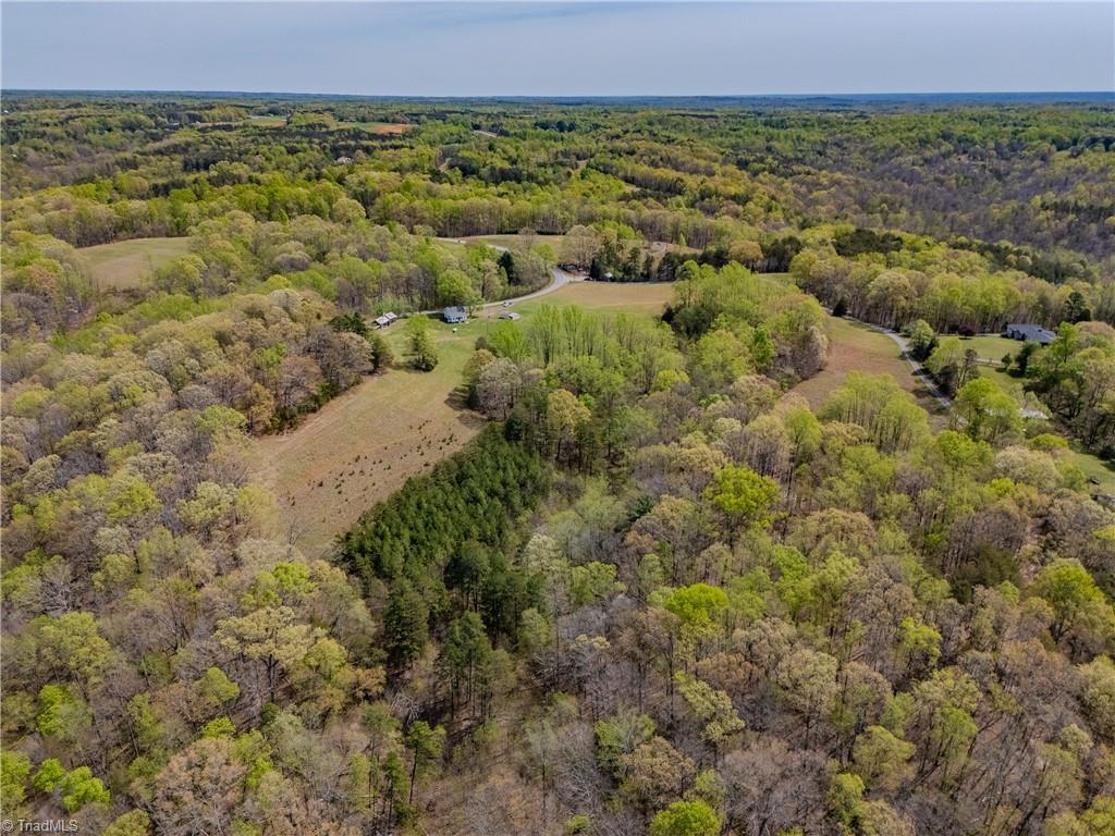 1749 Phillips Road Sandy Ridge, NC 27046 - Photo 29 of 43 Gallery Image 29