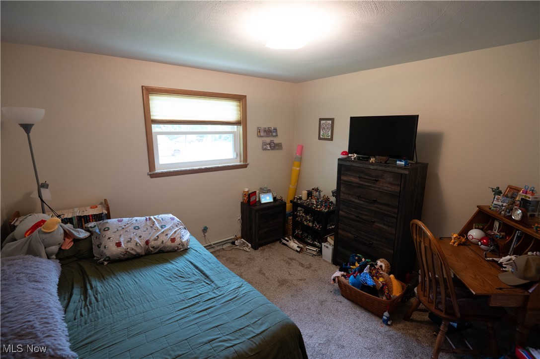 1074 South Meridian Road Youngstown, OH 44515 - Photo 21 of 42 View of carpeted bedroom