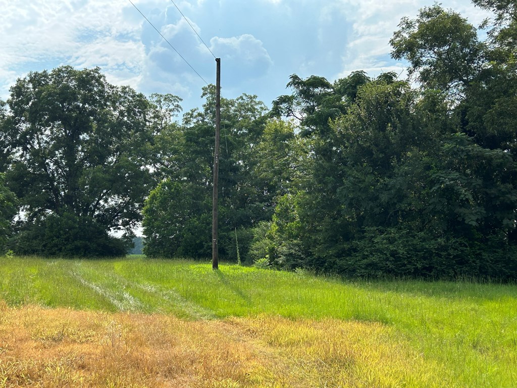 132.3-ac Green Road Dothan, AL 36303 - Photo 41 of 63