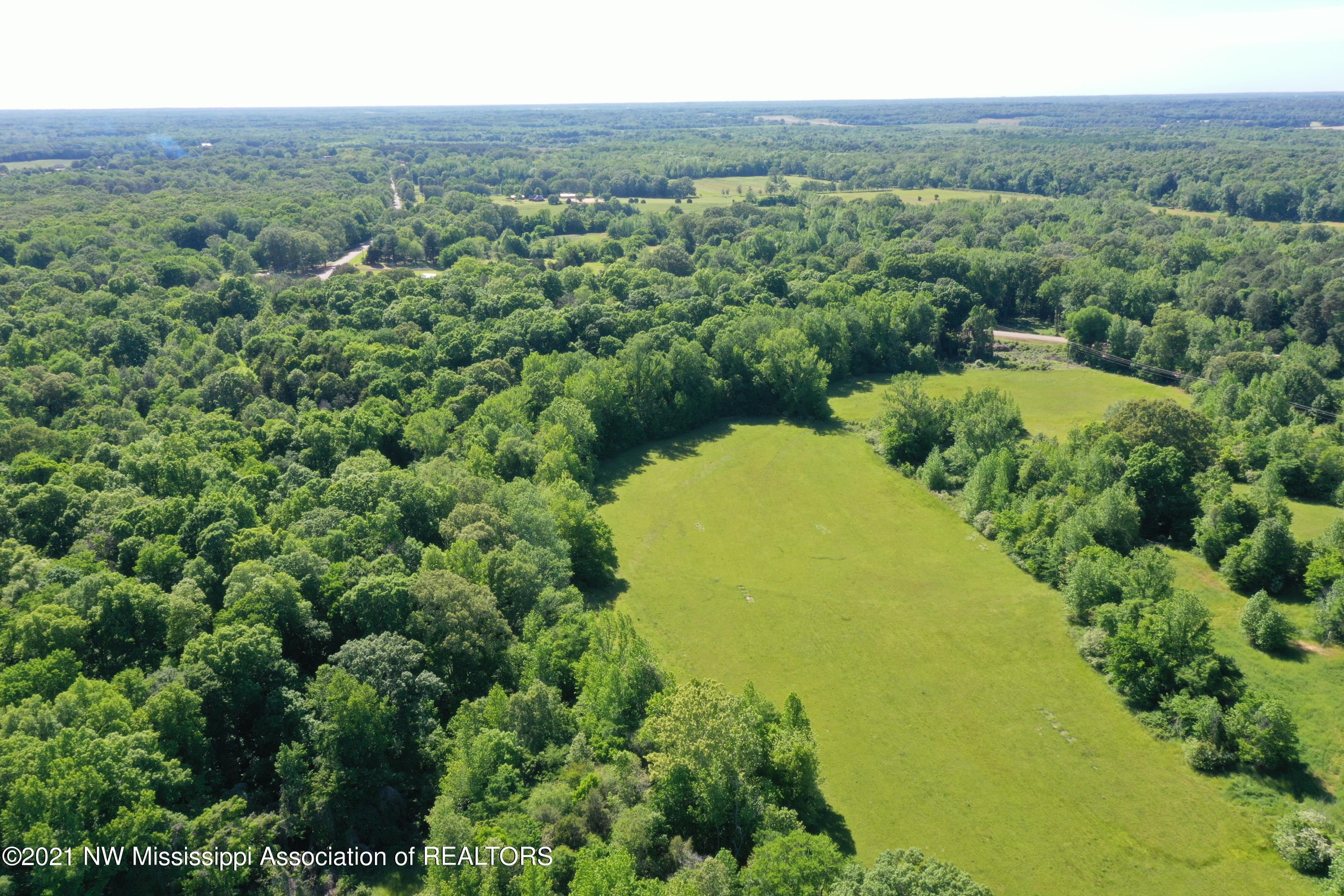 2 Red Banks Road North Byhalia, MS 38611 - Photo 13 of 43 DJI_0308