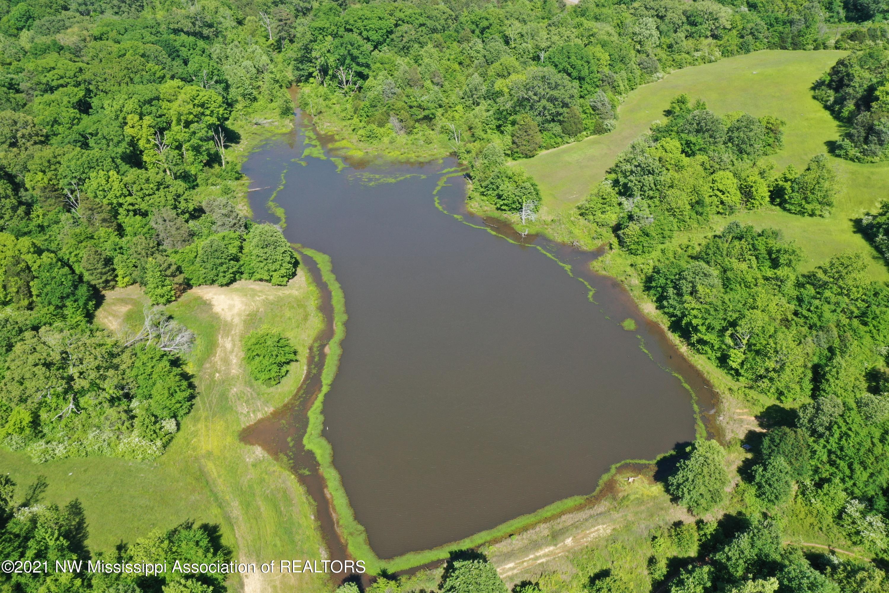 2 Red Banks Road North Byhalia, MS 38611 - Photo 14 of 43 DJI_0309