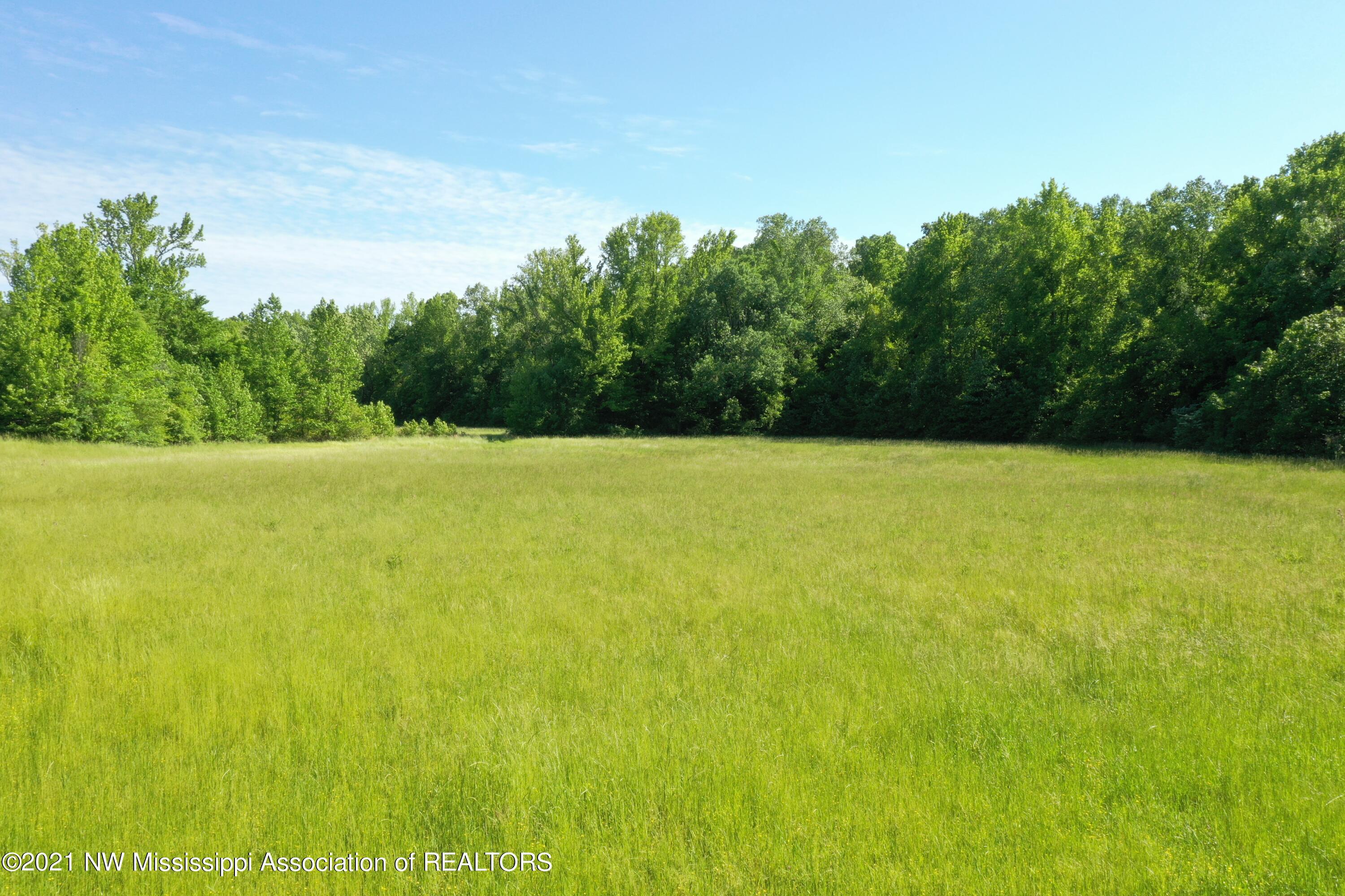 2 Red Banks Road North Byhalia, MS 38611 - Photo 15 of 43 DJI_0310