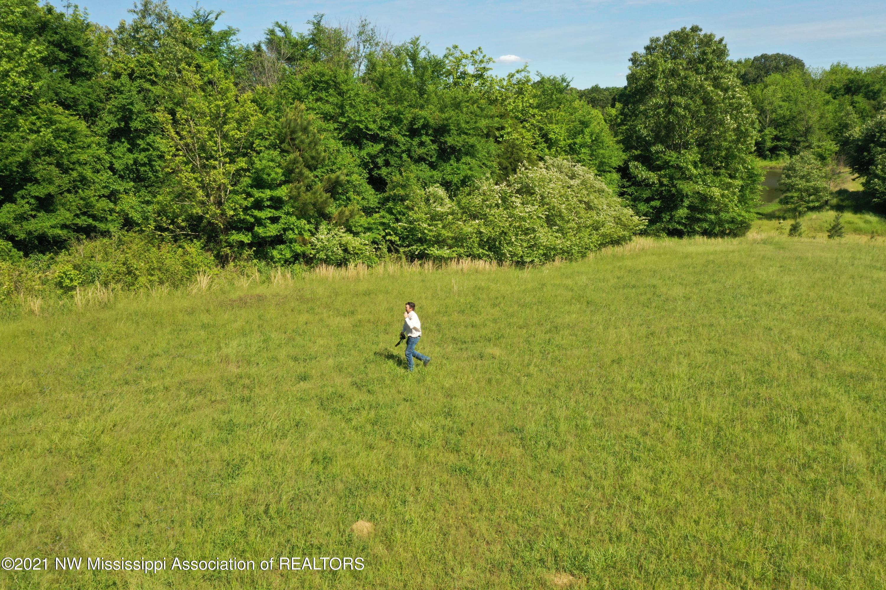 2 Red Banks Road North Byhalia, MS 38611 - Photo 19 of 43 DJI_0315