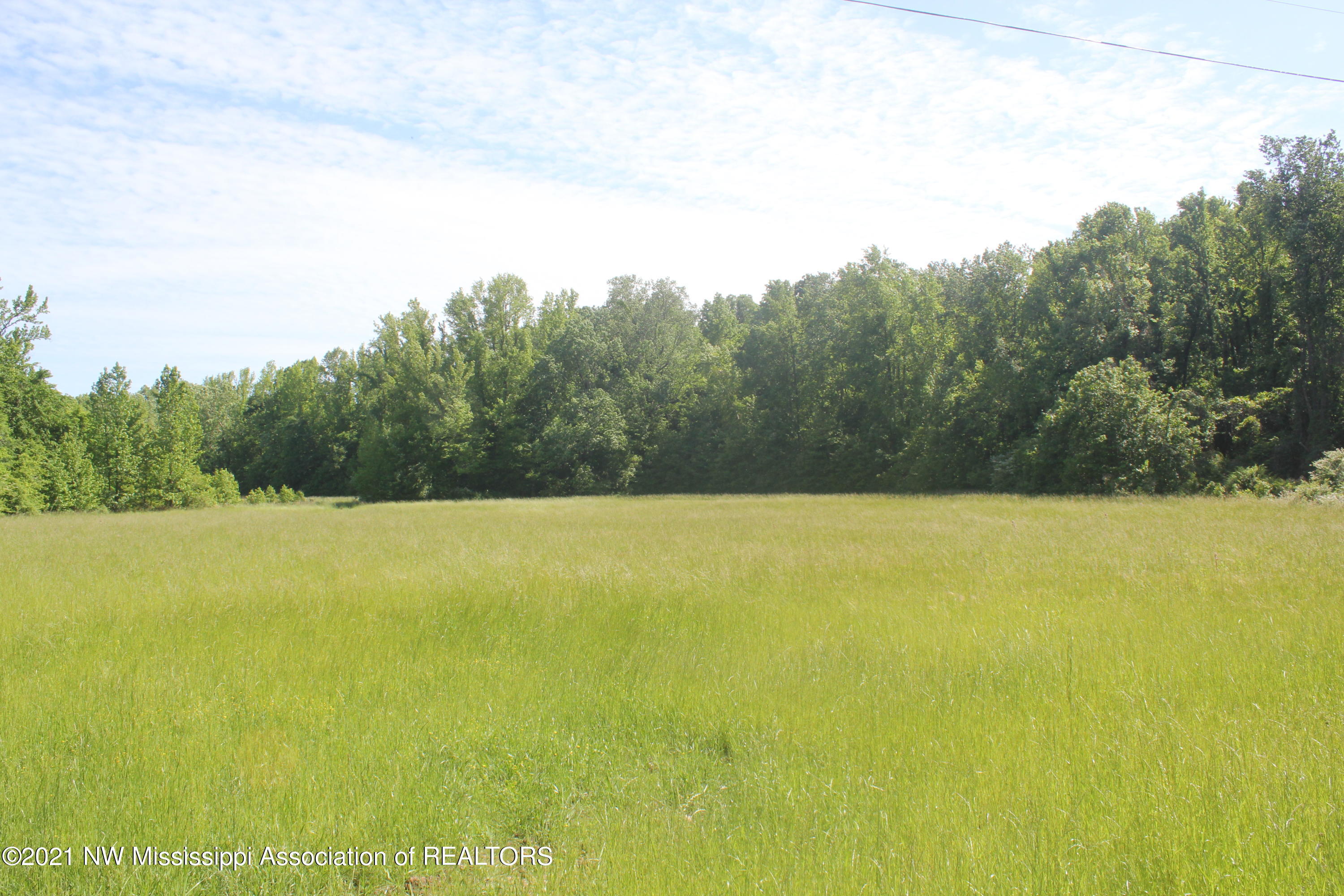 2 Red Banks Road North Byhalia, MS 38611 - Photo 20 of 43 IMG_6442