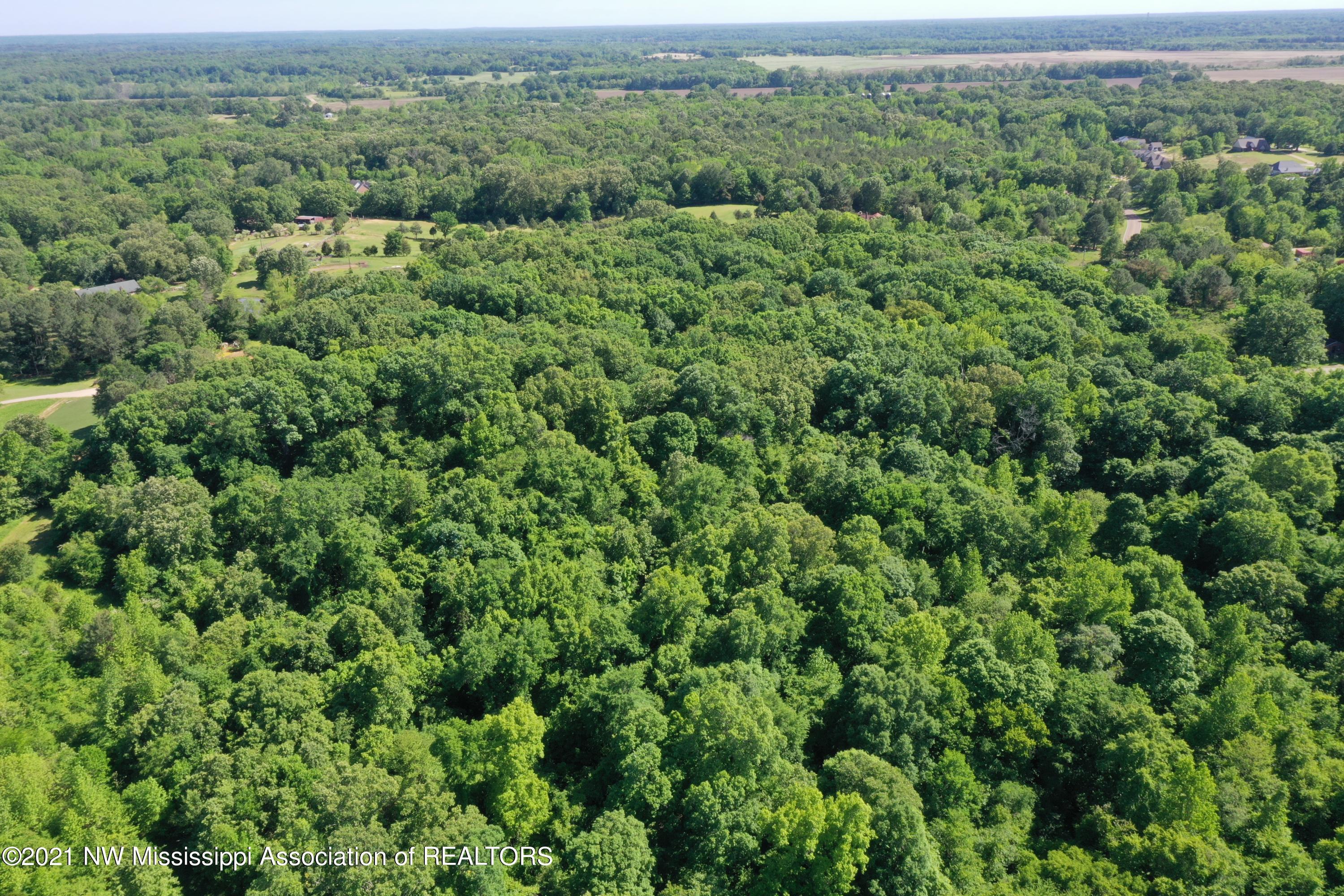 2 Red Banks Road North Byhalia, MS 38611 - Photo 2 of 43 DJI_0305