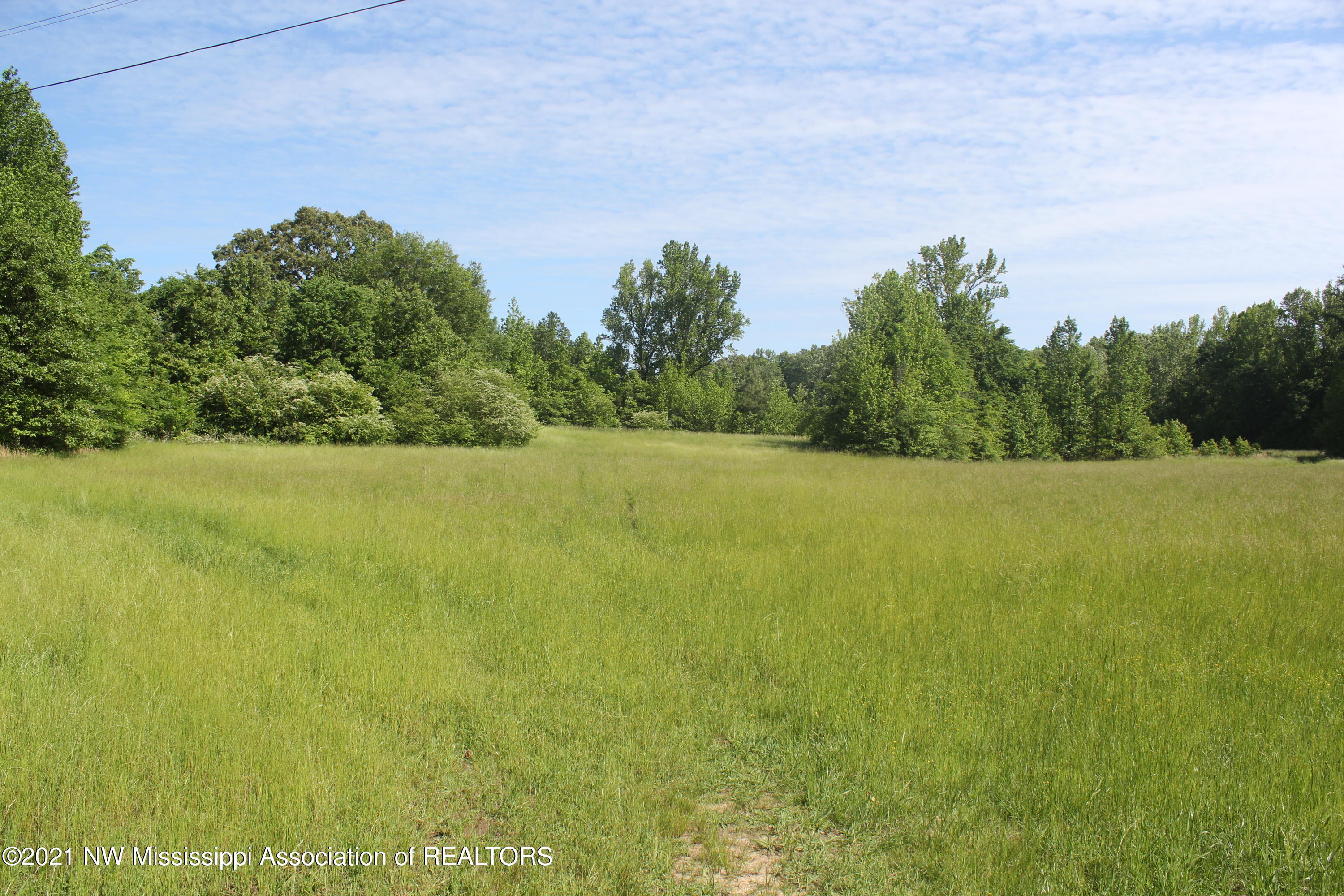 2 Red Banks Road North Byhalia, MS 38611 - Photo 21 of 43 IMG_6443