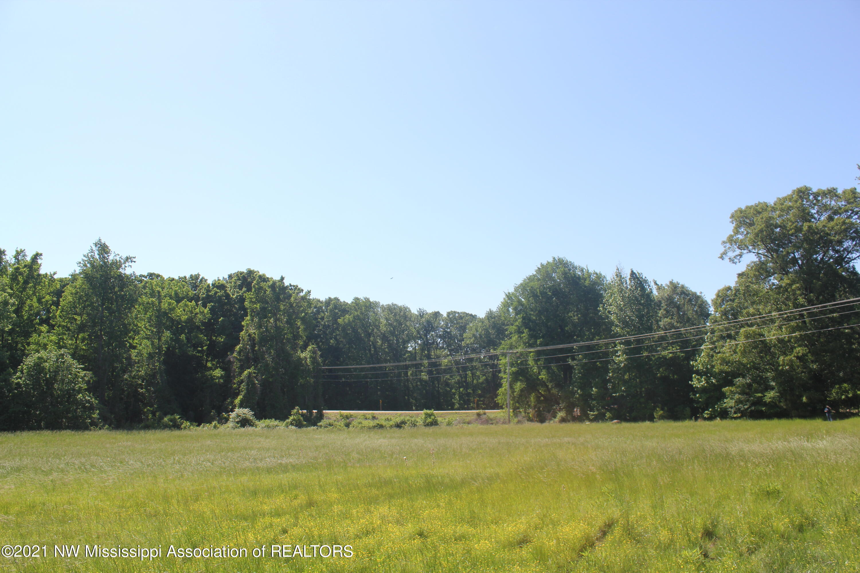 2 Red Banks Road North Byhalia, MS 38611 - Photo 23 of 43 IMG_6447