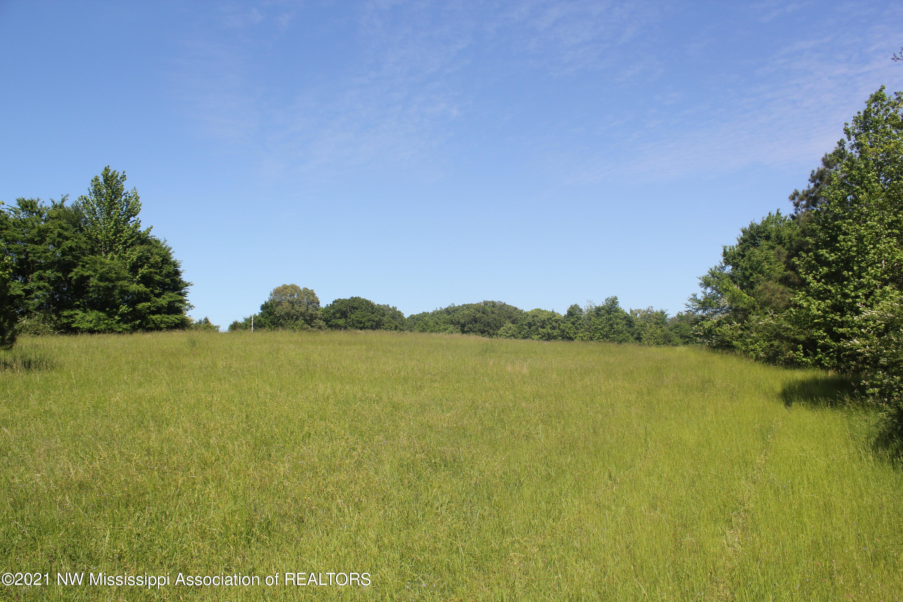 2 Red Banks Road North Byhalia, MS 38611 - Photo 25 of 43 IMG_6450
