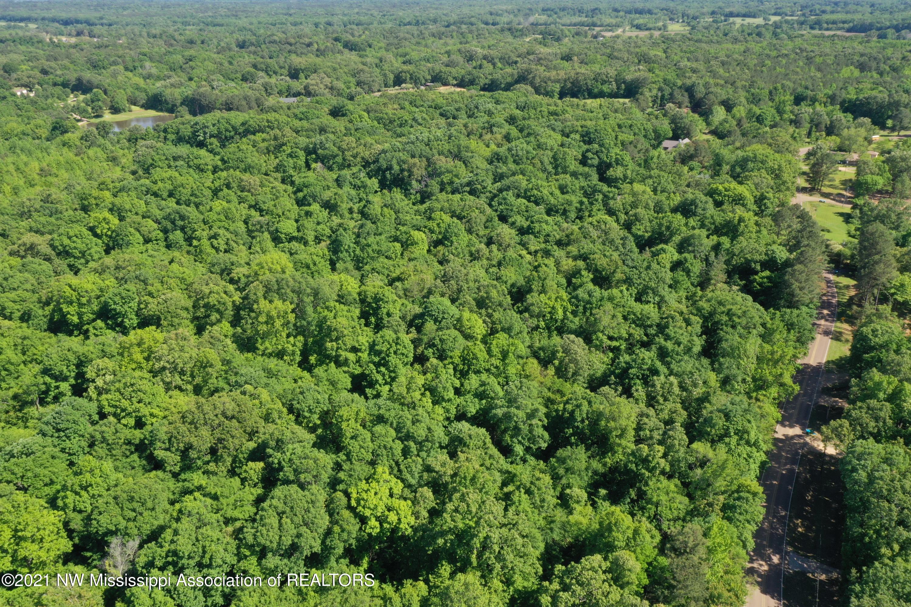 2 Red Banks Road North Byhalia, MS 38611 - Photo 3 of 43 DJI_0306