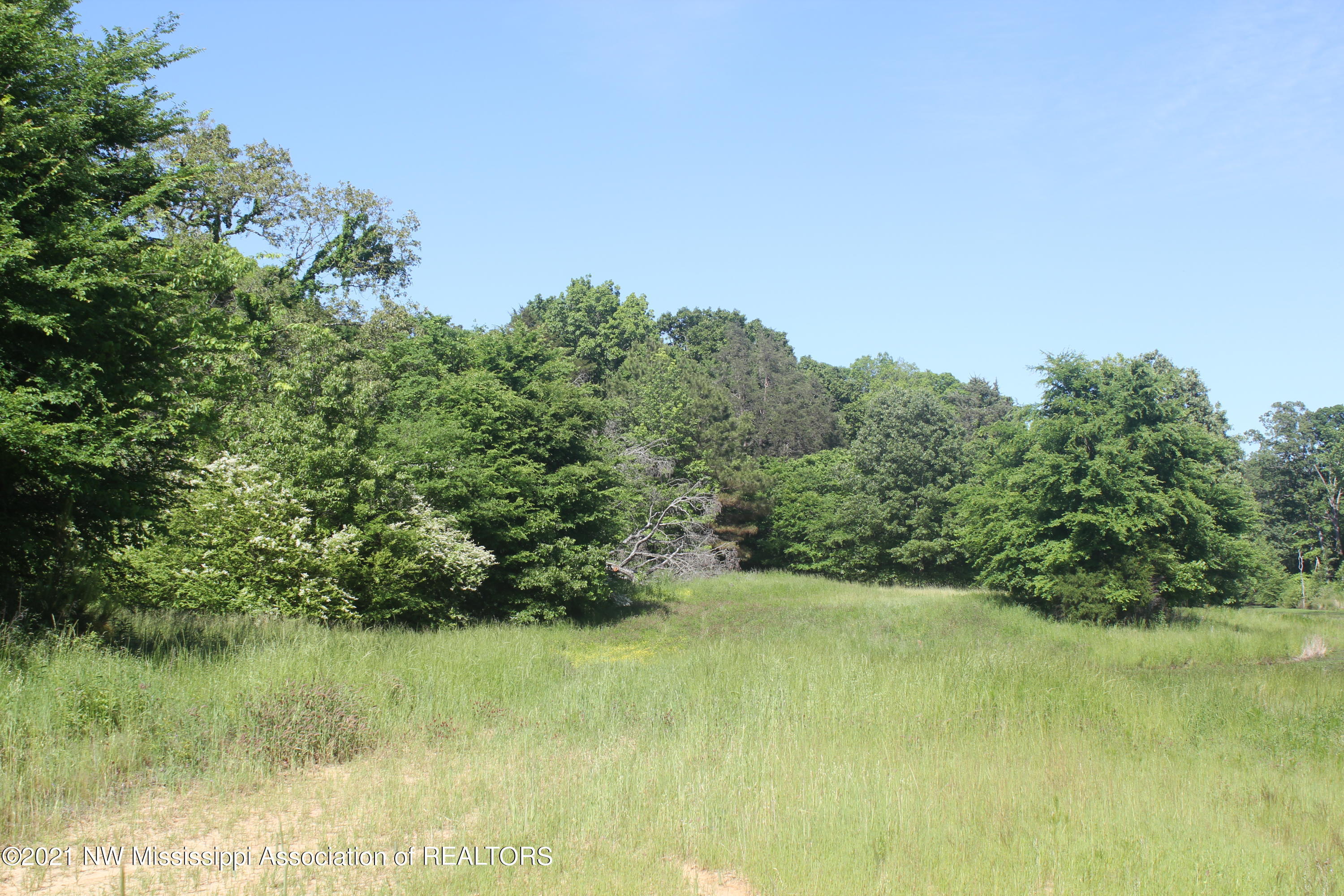 2 Red Banks Road North Byhalia, MS 38611 - Photo 33 of 43 IMG_6462
