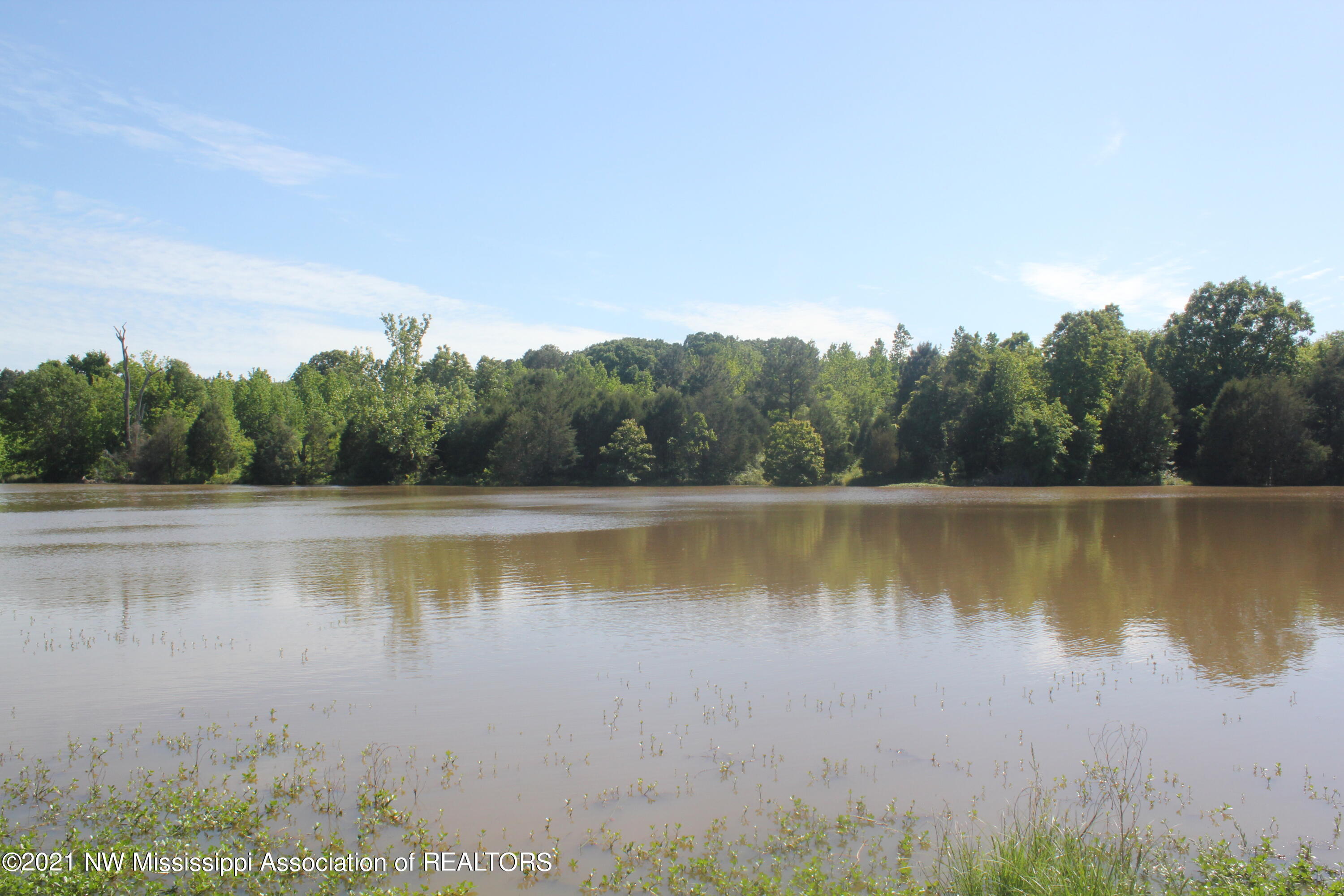 2 Red Banks Road North Byhalia, MS 38611 - Photo 37 of 43 IMG_6472
