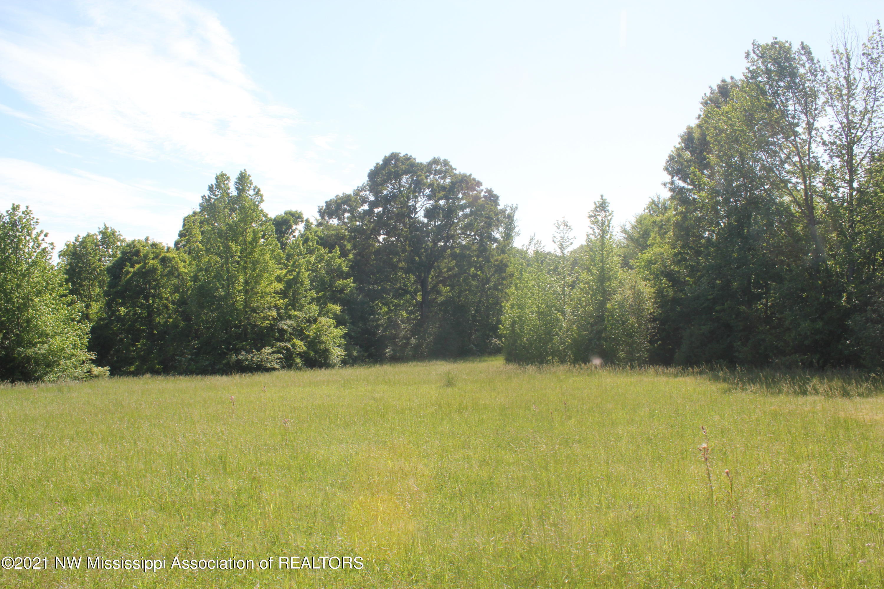 2 Red Banks Road North Byhalia, MS 38611 - Photo 41 of 43 IMG_6486