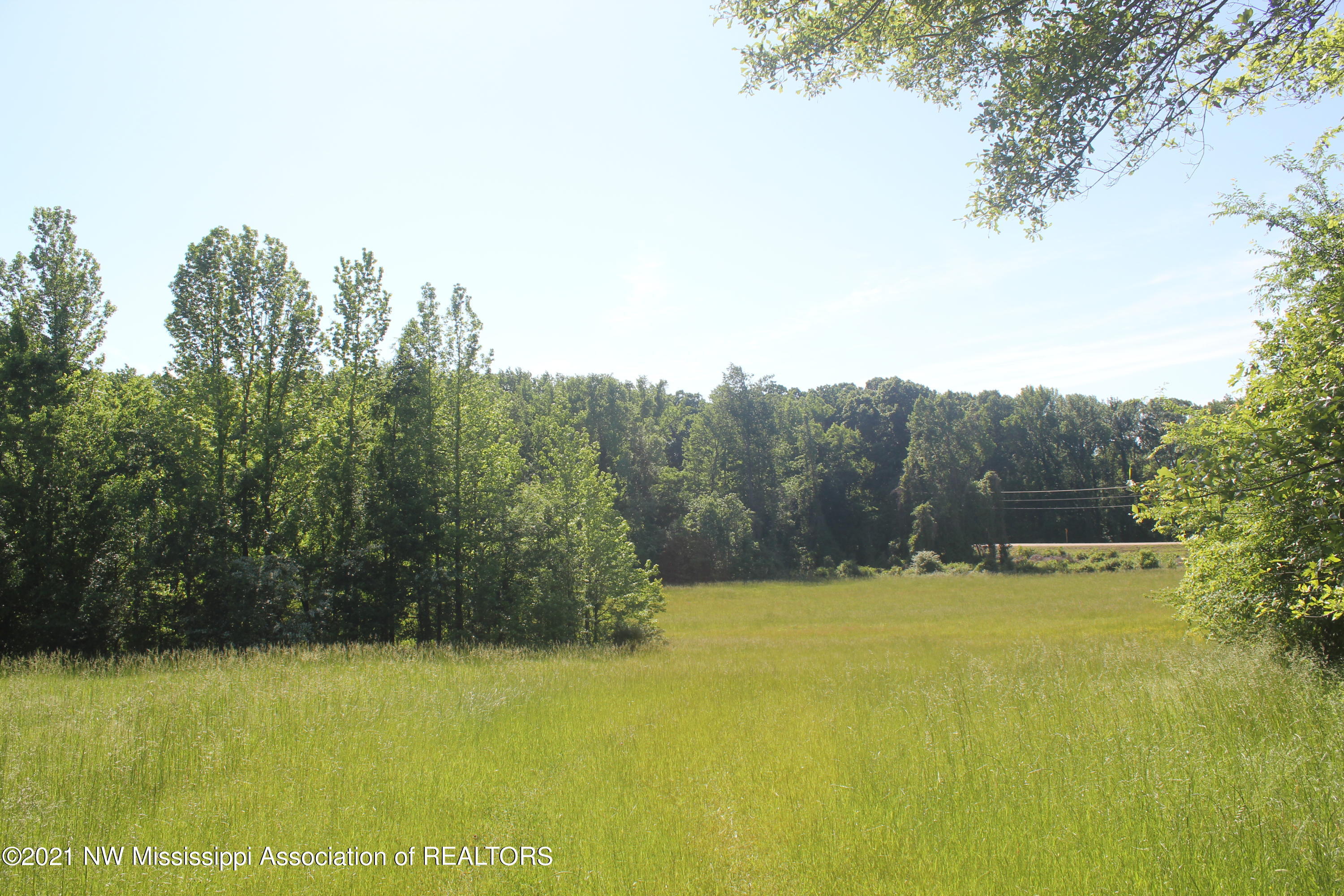 2 Red Banks Road North Byhalia, MS 38611 - Photo 43 of 43 IMG_6488