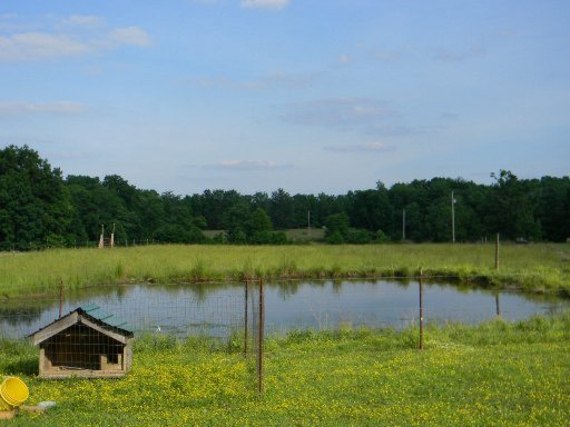 7305 Plateau Road Crossville, TN 38571 - Photo 8 of 24 Additional Photo