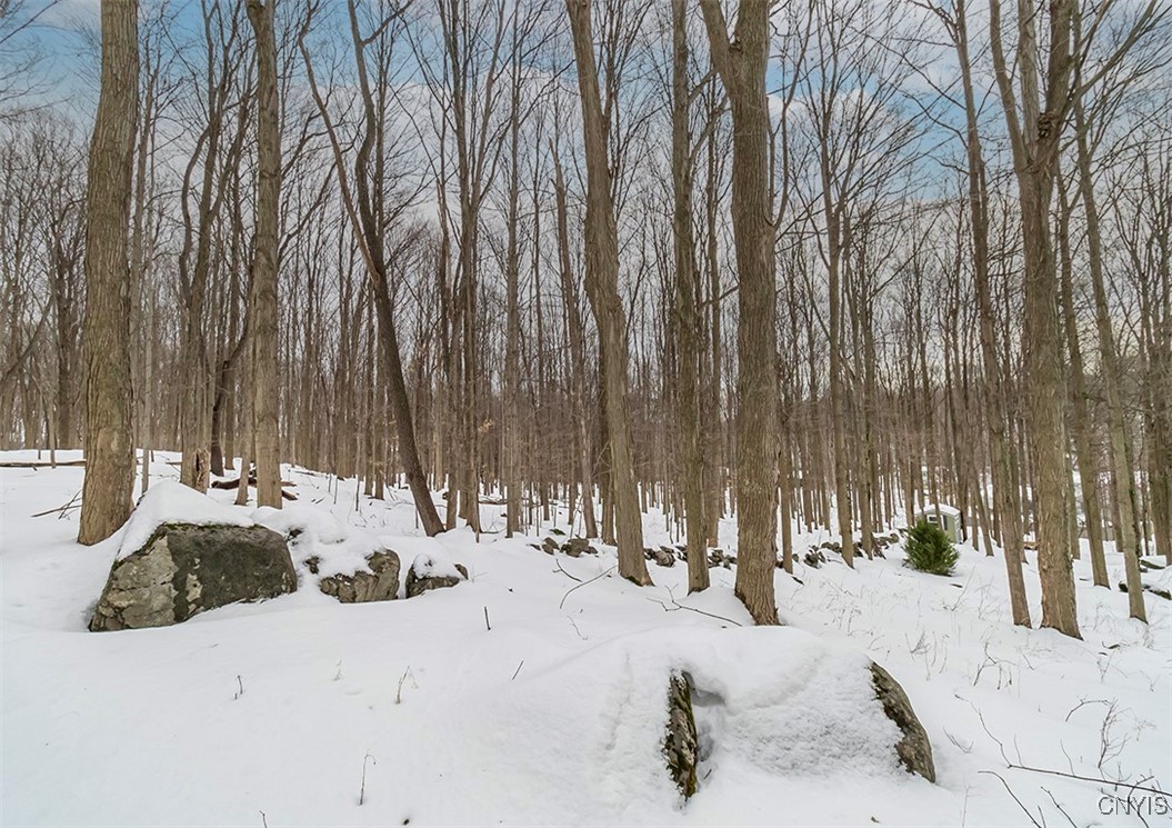 4654 Post Road Manlius, NY 13104 - Photo 45 of 49