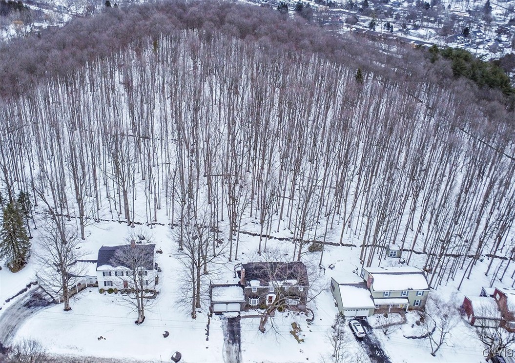 4654 Post Road Manlius, NY 13104 - Photo 46 of 49