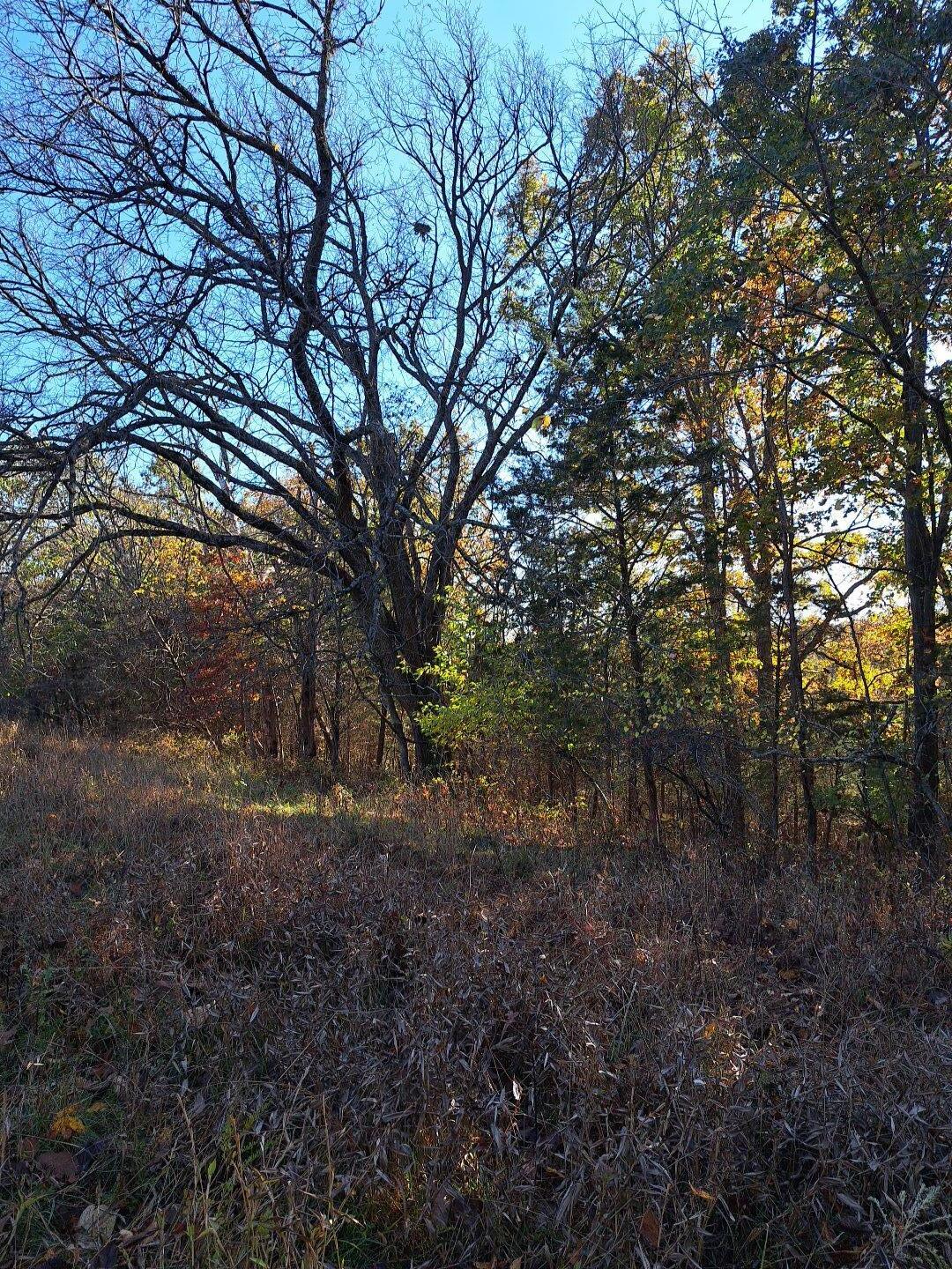 0 Friendship Road Sadieville, KY 40370 - Photo 10 of 14 Gallery Image 10