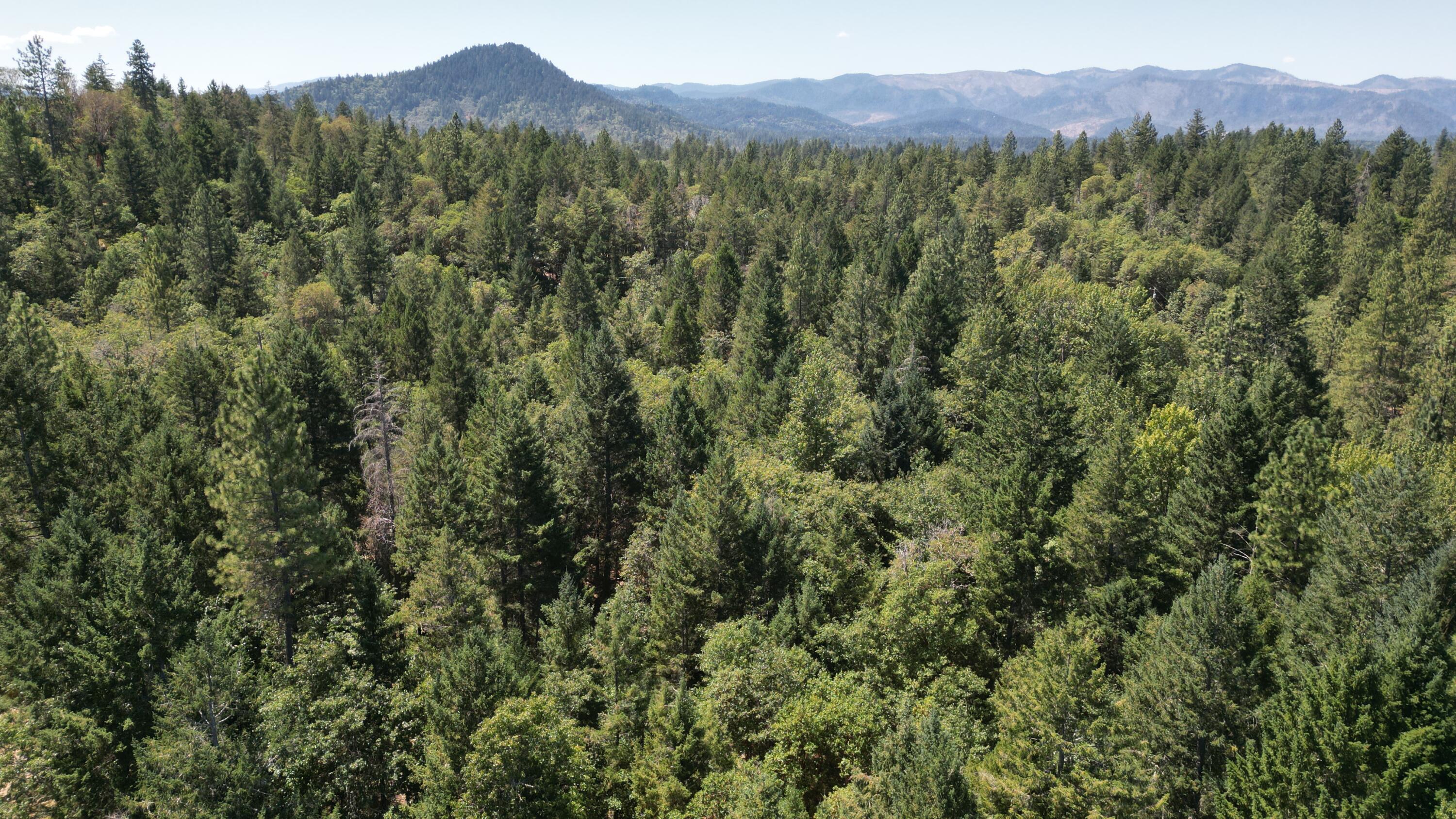 1752 Rounds Avenue Grants Pass, OR 97527 - Photo 4 of 33 DJI_0400