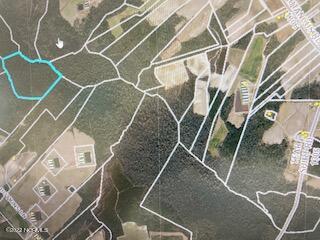 1305 Tear Shirt Road Warsaw, NC 28398 - Photo 3 of 5 Tear Shirt 57 acres