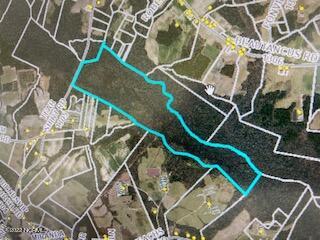 1305 Tear Shirt Road Warsaw, NC 28398 - Photo 5 of 5 Tear Shirt 375 acres