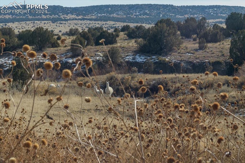 6670 Zercher Road Beulah, CO 81023 - Photo 37 of 37 a view of lake with mountain