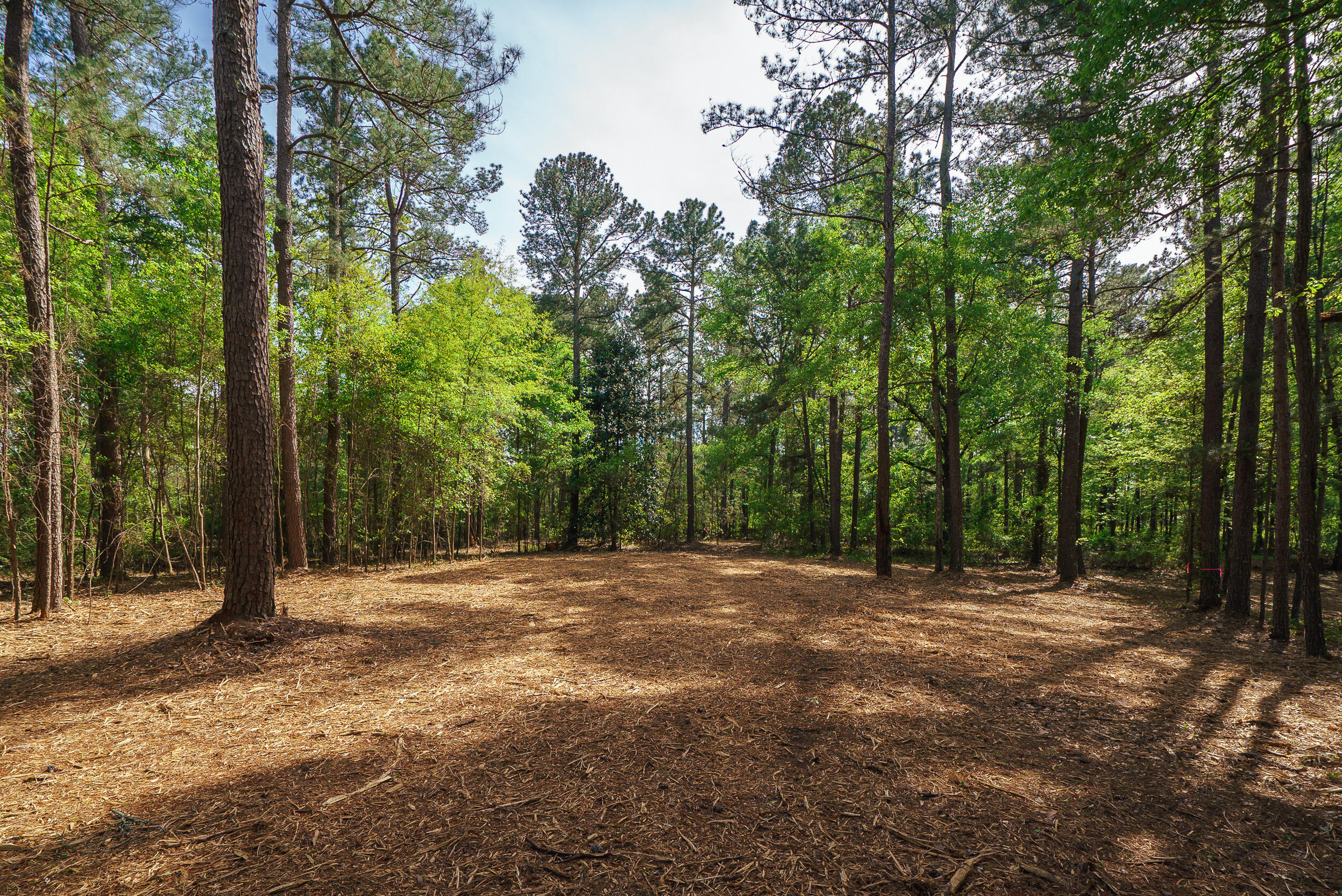 Lot 3 Banks Mill Road Southeast Aiken, SC 29803 - Photo 27 of 42