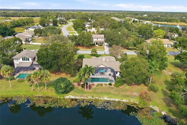 an aerial view of a house with a yard and large trees