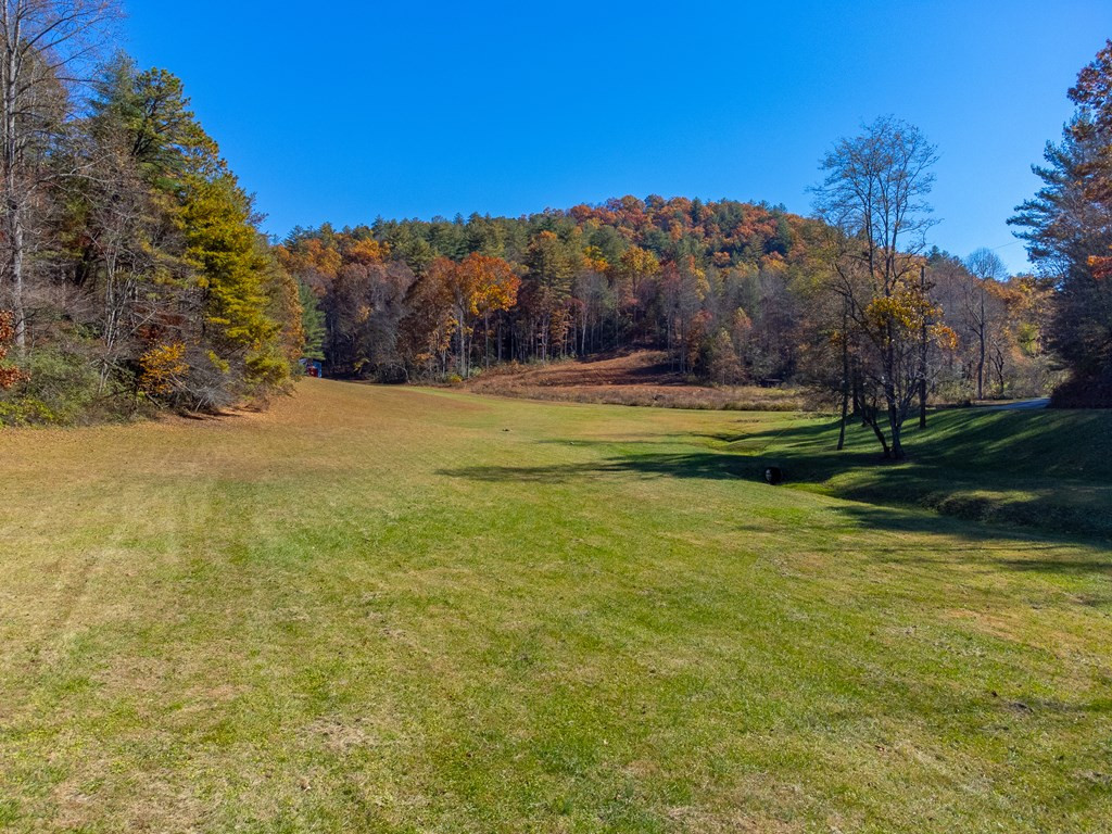 59 Poison Branch Road Robbinsville, NC 28771 - Photo 43 of 58 Gallery Image 43