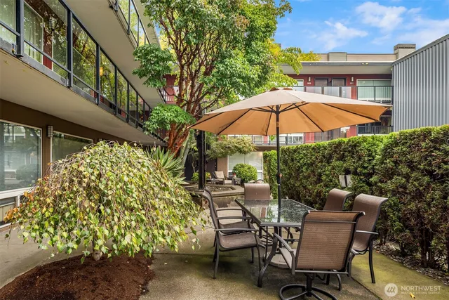 a view of a chair and table in the backyard