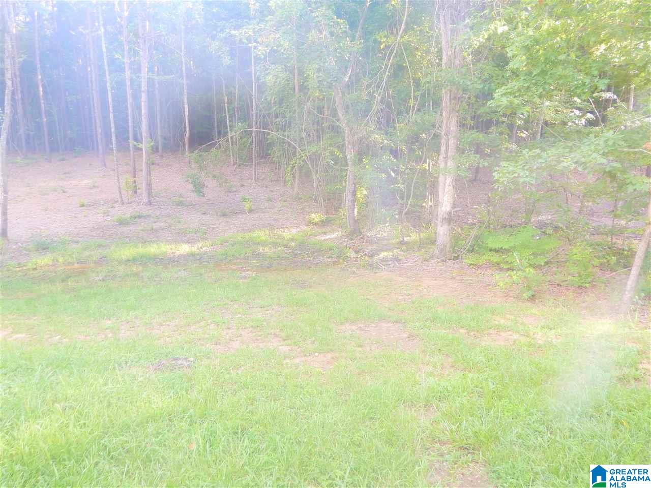 115 Tyler Road Remlap, AL 35133 - Photo 32 of 34 Gallery Image 32