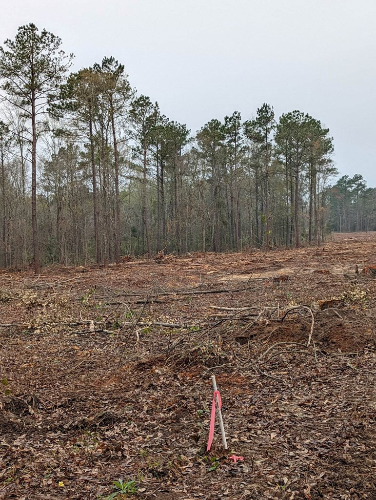 11-16 Lots 11-16 Benenhaley Road Sumter, SC 29150 - Photo 4 of 4 Gallery Image 4