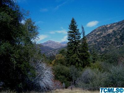 43553 North Fork Drive Three Rivers, CA 93271 - Photo 15 of 16 NORTH VIEW FROM BUILDING SITE