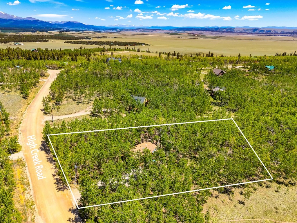 2346 High Creek Road Fairplay, CO 80440 - Photo 12 of 50