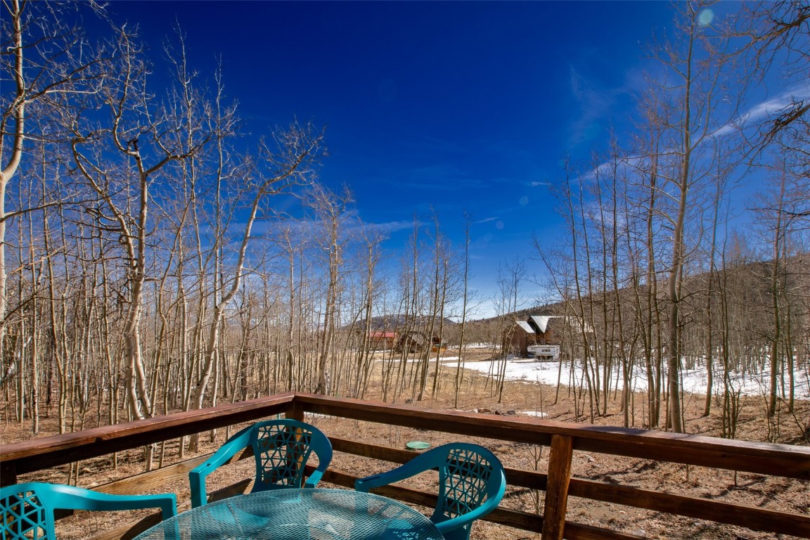 2346 High Creek Road Fairplay, CO 80440 - Photo 19 of 50