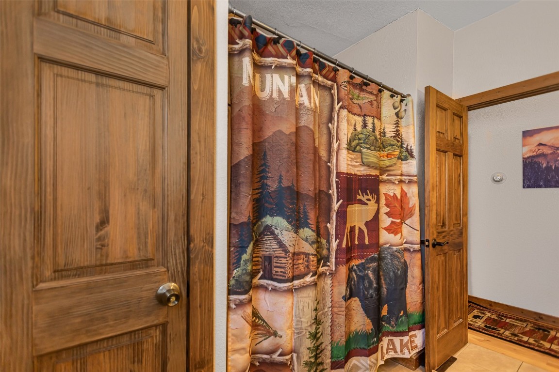 2346 High Creek Road Fairplay, CO 80440 - Photo 33 of 50