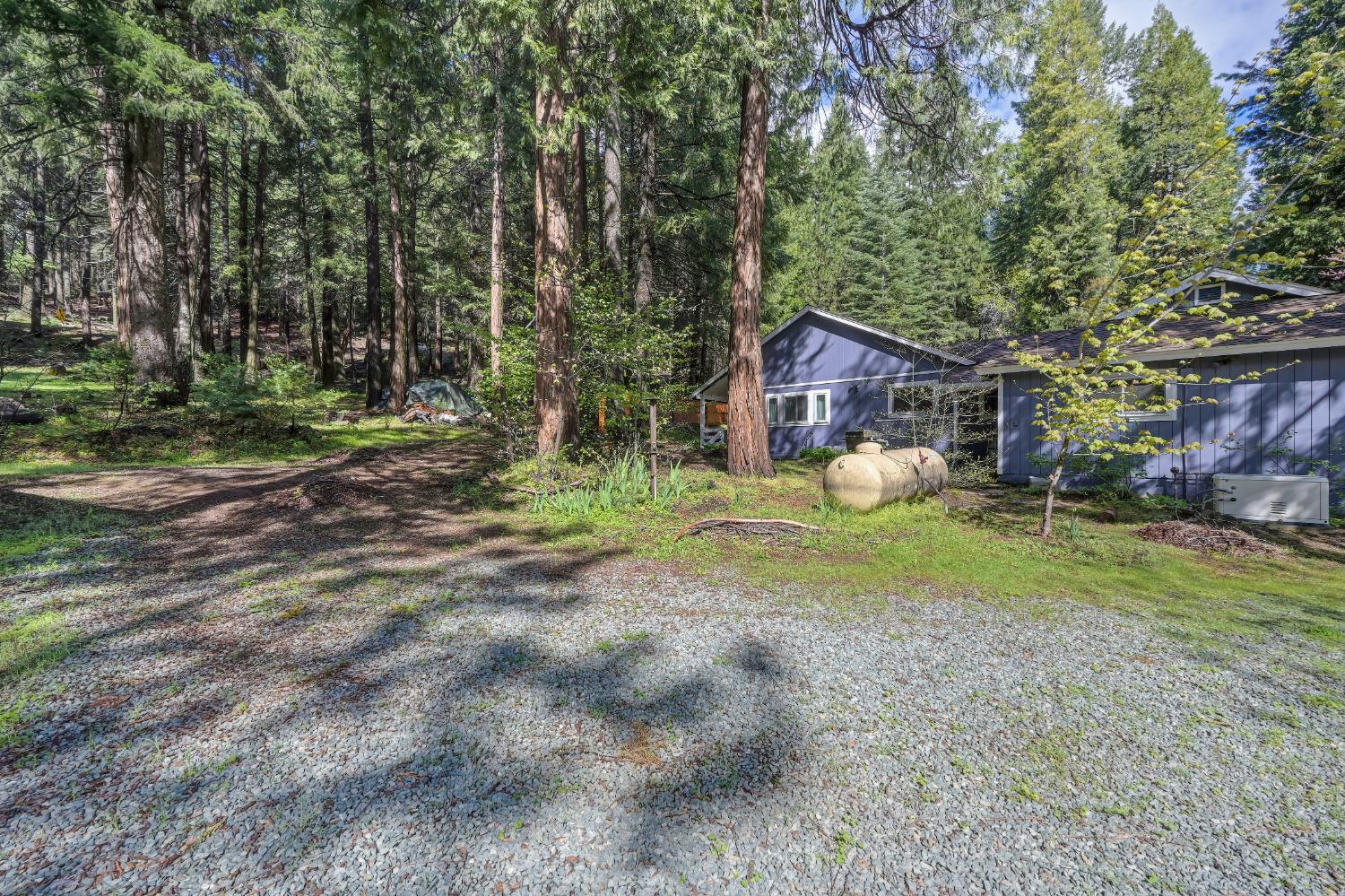 4580 Jenkinson Circle Pollock Pines, CA 95726 - Photo 65 of 78