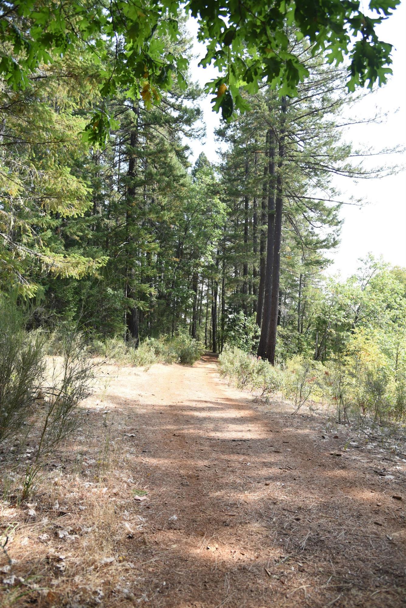 0 Lone Mountain Road, Unit TL602 O'Brien, OR 97534 - Photo 9 of 12 Additional Photo