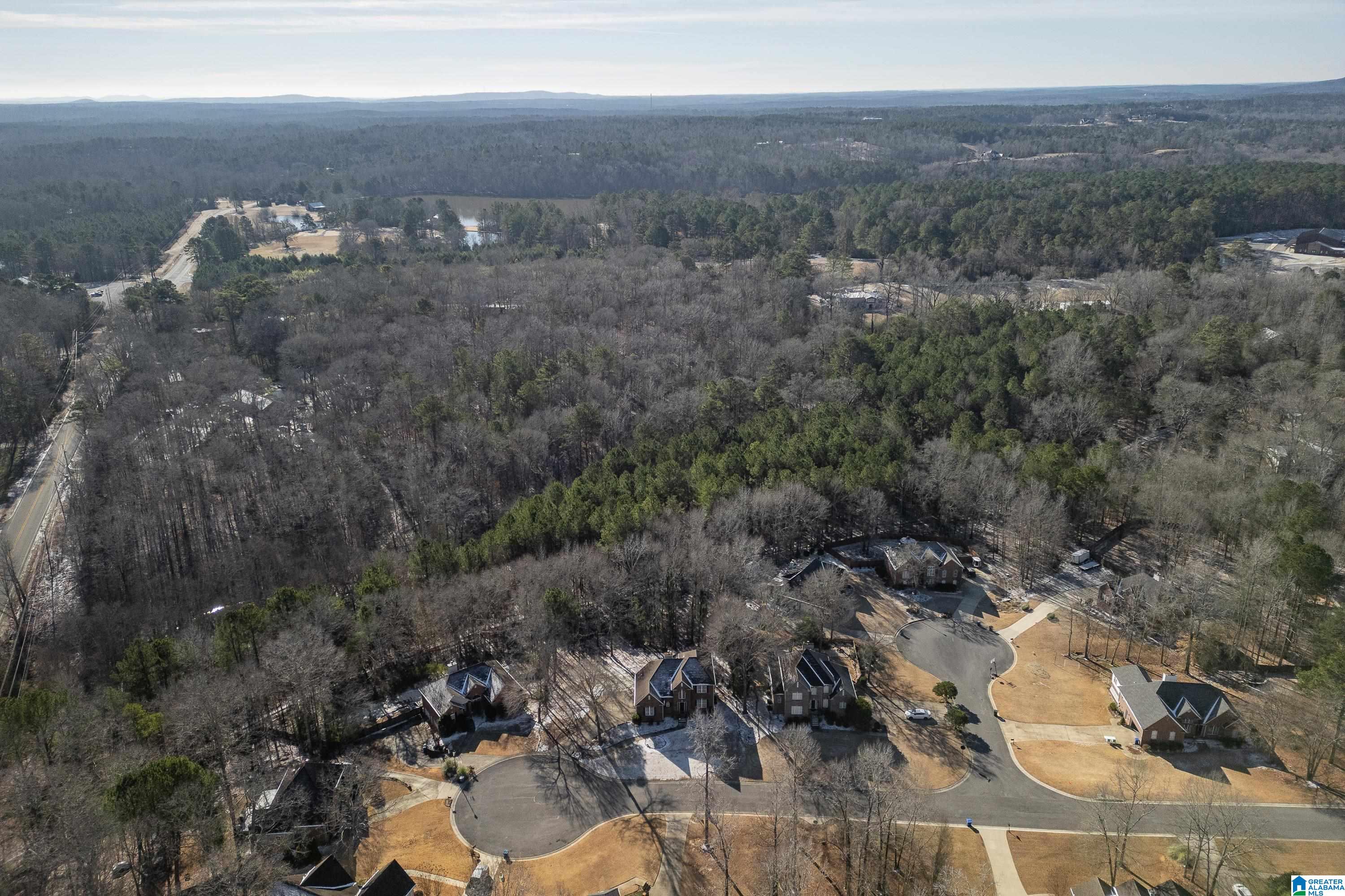 208 Branch Drive Chelsea, AL 35043 - Photo 42 of 46