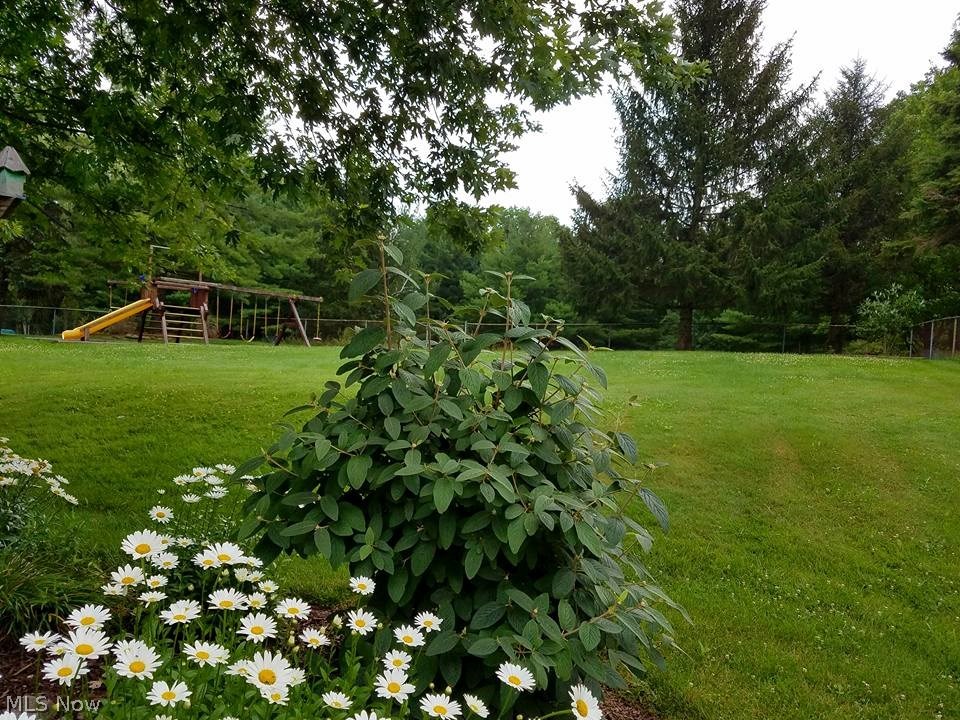 10263 Auburn Road Chardon, OH 44024 - Photo 21 of 32 Great landscaping - everything is delightful