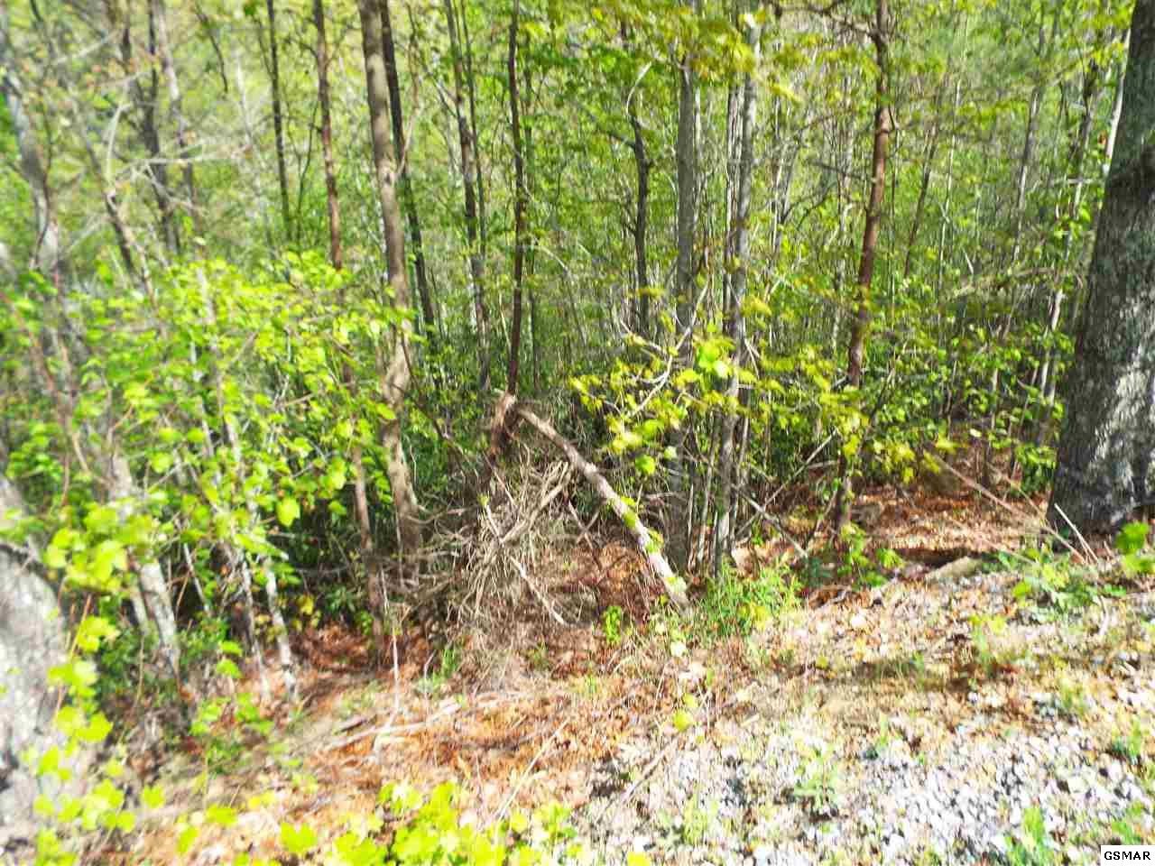 63 Redtail Road Sevierville, TN 37862 - Photo 12 of 24 Gallery Image 12