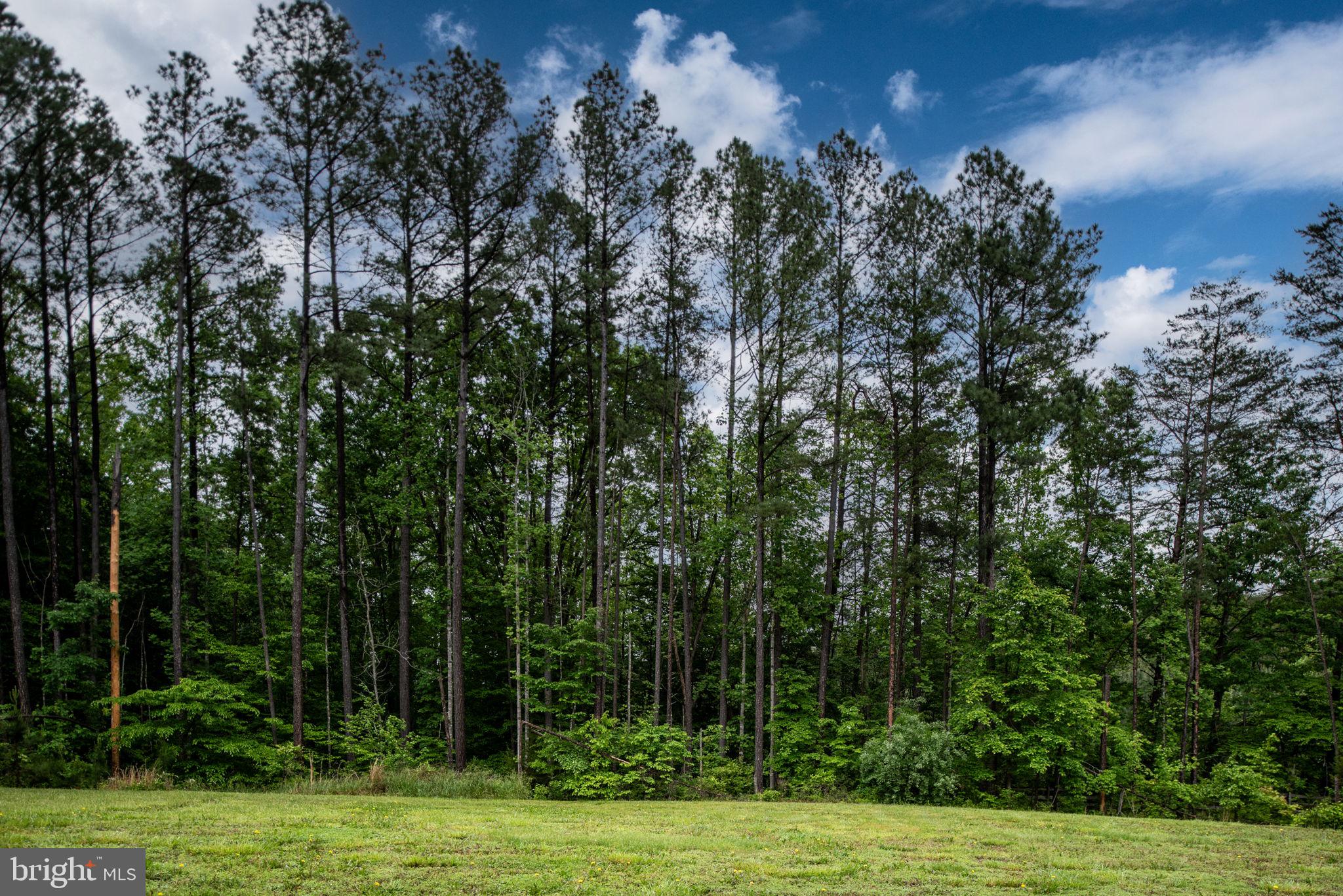 4 Riva Ridge Drive Stafford, VA 22556 - Photo 15 of 96 Your new home sits on 3.7 acres of beautiful land